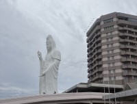 IMG_6463